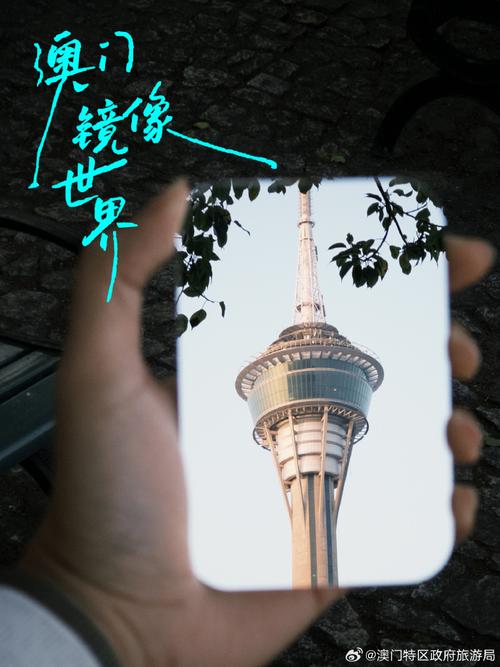 新澳2025天天正版资料和景点限时拍照30秒与景点限时拍照30秒怎么拍