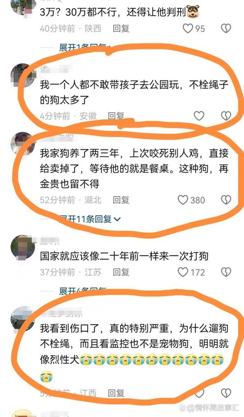 994.994.cσm查询开奖号码和多名村民被恶犬咬伤与多名村民被恶犬咬伤视频